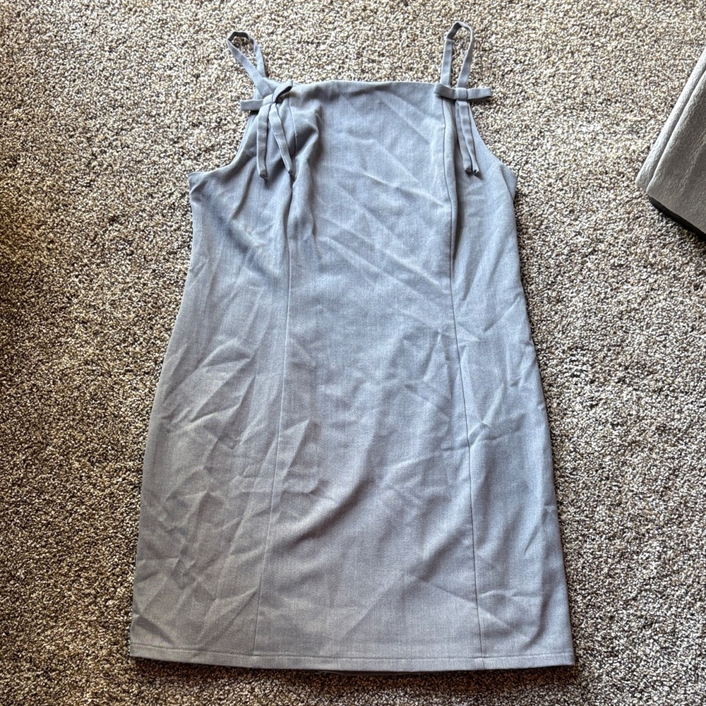 Wild Fable Elegant Gray Sleeveless mini Dress